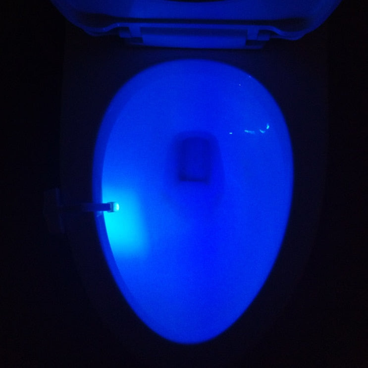 Potty Training - Elderly & Home Care , Child Safety - Assisted Living , Handicap , Hospital LED Toilet Night Light LED Night Time Toilet Light - by ZsaZsa Rivera