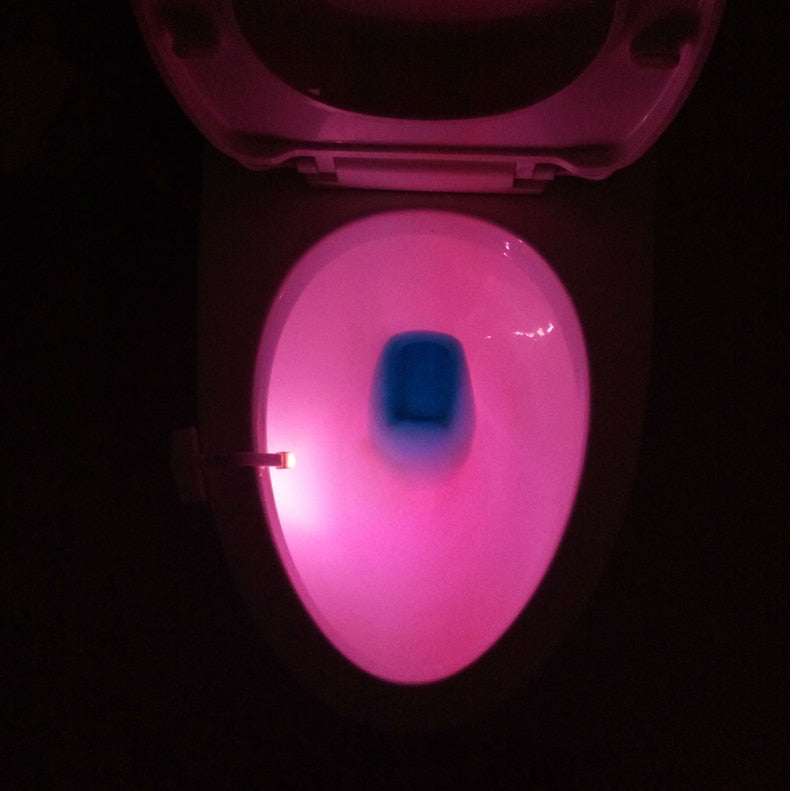Potty Training - Elderly & Home Care , Child Safety - Assisted Living , Handicap , Hospital LED Toilet Night Light LED Night Time Toilet Light - by ZsaZsa Rivera