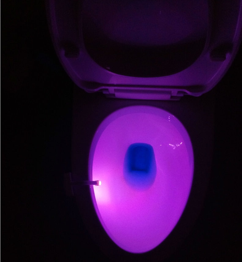 Potty Training - Elderly & Home Care , Child Safety - Assisted Living , Handicap , Hospital LED Toilet Night Light LED Night Time Toilet Light - by ZsaZsa Rivera