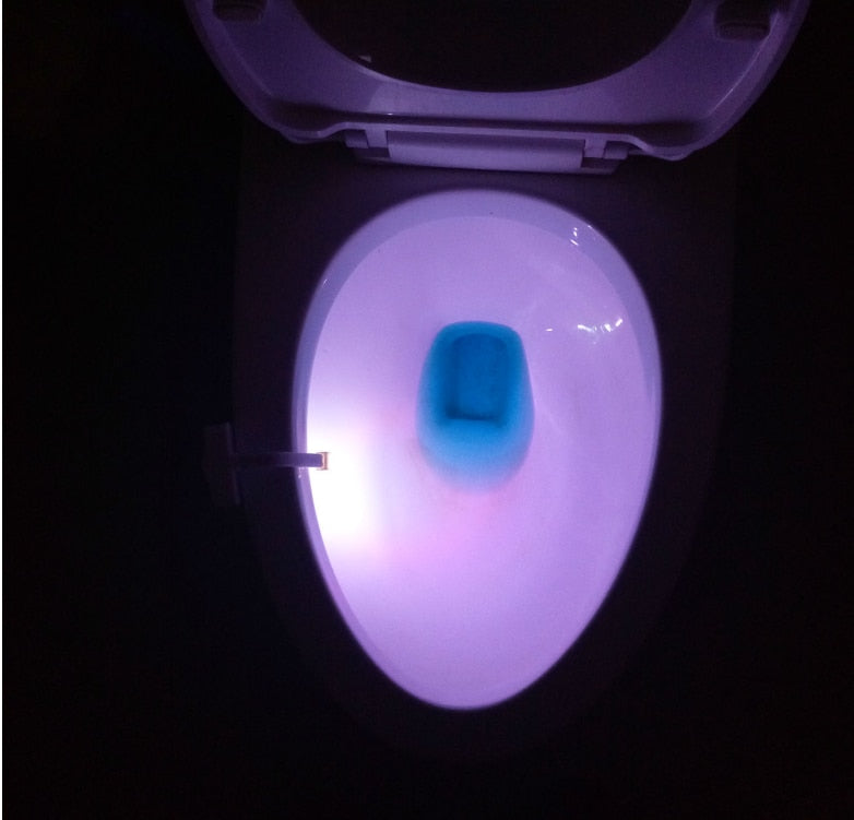Potty Training - Elderly & Home Care , Child Safety - Assisted Living , Handicap , Hospital LED Toilet Night Light LED Night Time Toilet Light - by ZsaZsa Rivera
