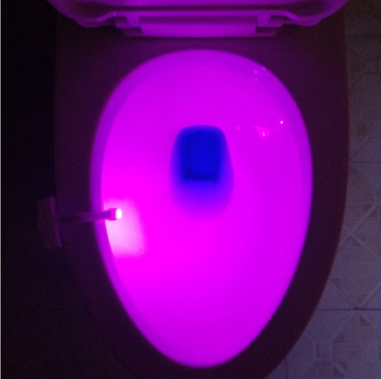 Potty Training - Elderly & Home Care , Child Safety - Assisted Living , Handicap , Hospital LED Toilet Night Light     LED Night Time Toilet Light - by ZsaZsa Rivera